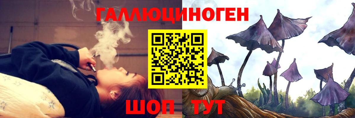 Гуково  Псилоцибиновые грибы Cubensis  Вход с VPN  Псилоцибиновые грибы ЛСД 